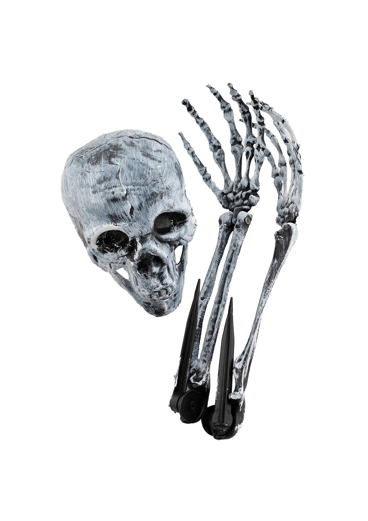 Box of Bones Set